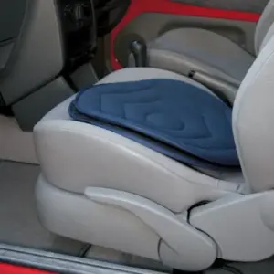Swivel Cushion