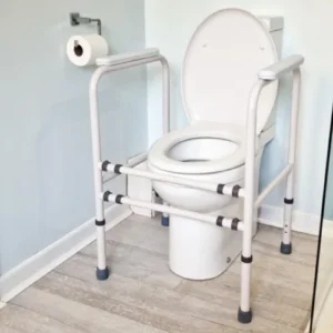 Toilet Surround