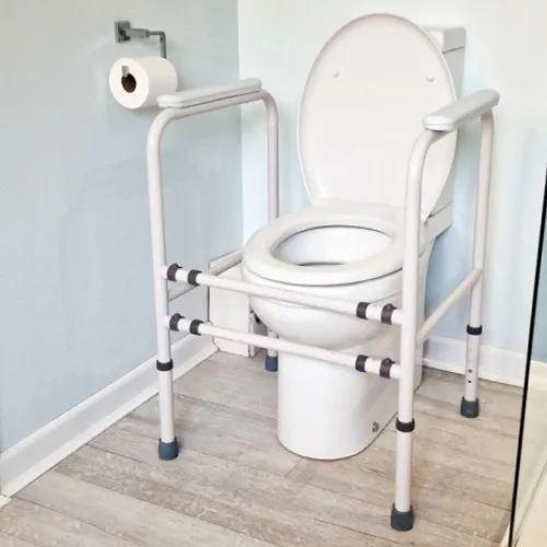 Toilet Surround